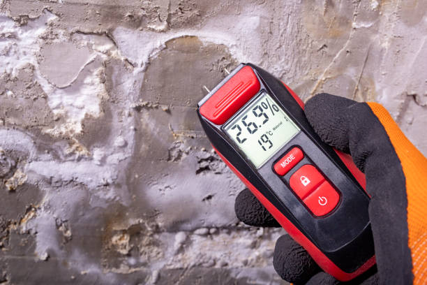 Best Toxic Mold Removal  in Mifflinburg, PA