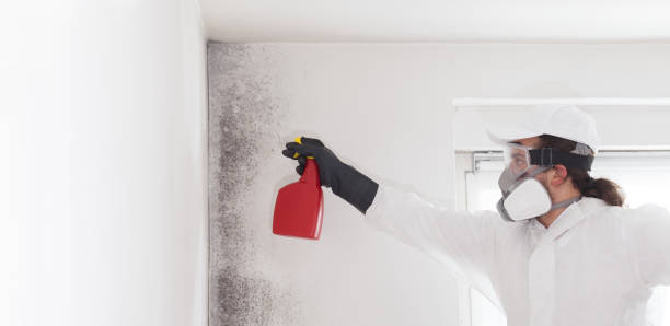 Best Office Mold Removal Services  in Mifflinburg, PA