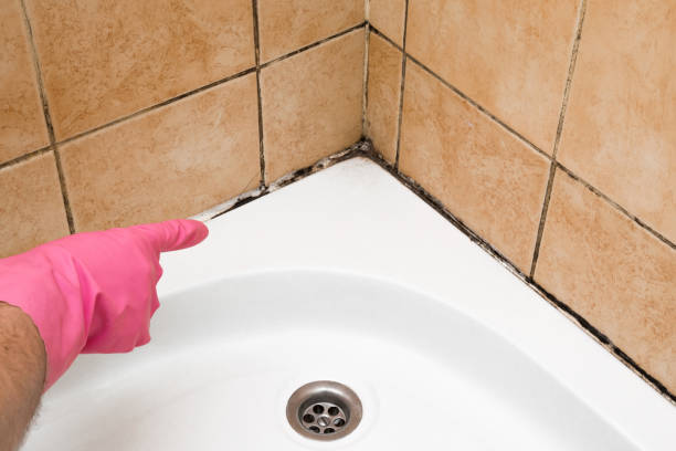 Best Residential Mold Removal  in Mifflinburg, PA
